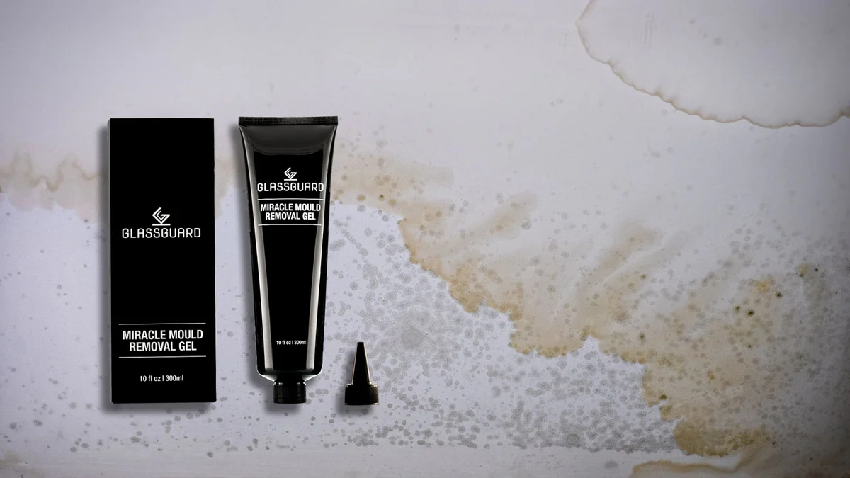 How to Get Rid of Mould on Ceilings? (5 Pro Tips That Actually Work)