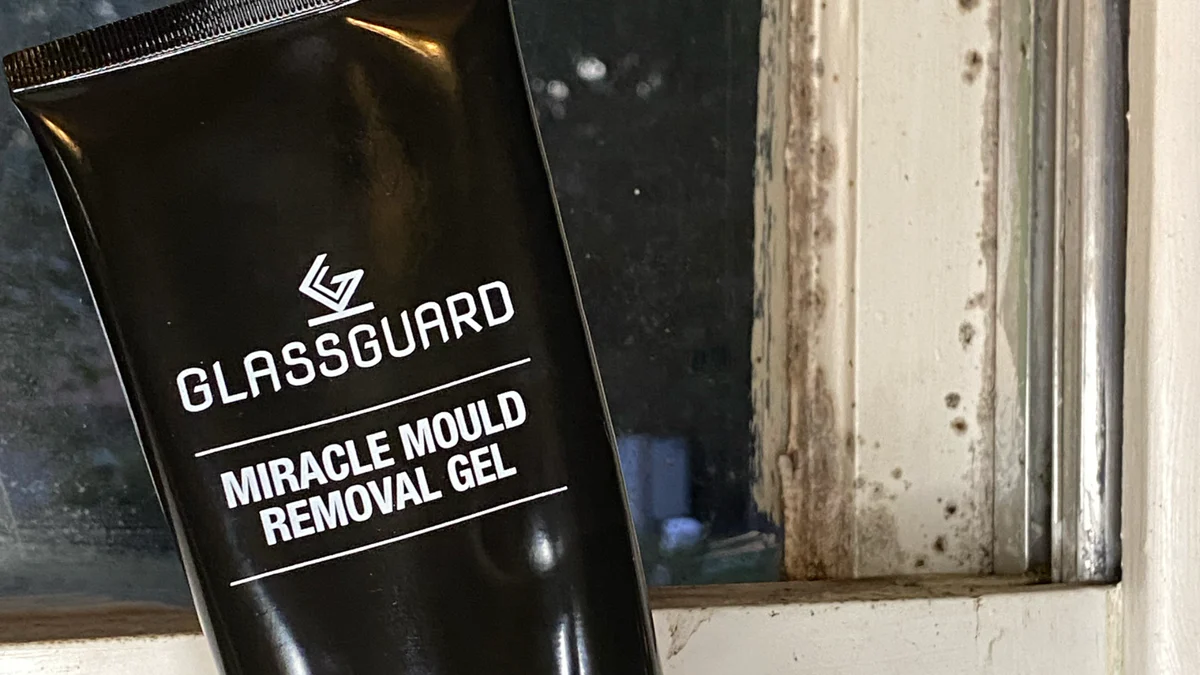 7 Concerning Facts About Mould That Homeowners NEED To Know