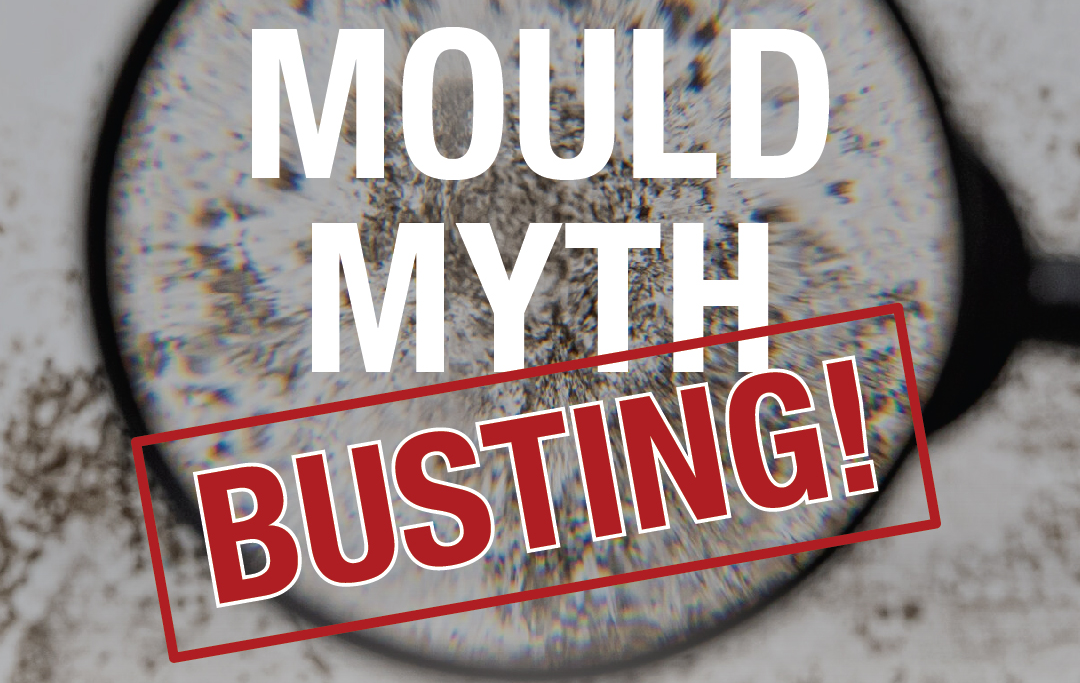 Mould Myth Busting: 4 Mould Removal Myths (And What Actually Works)