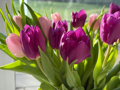 How Do I Prepare My House For Spring in 5 Simple Steps?