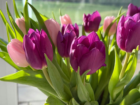 How Do I Prepare My House For Spring in 5 Simple Steps?