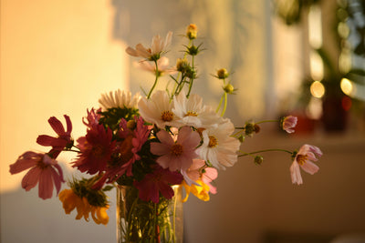 Your Spring Cleaning Checklist
